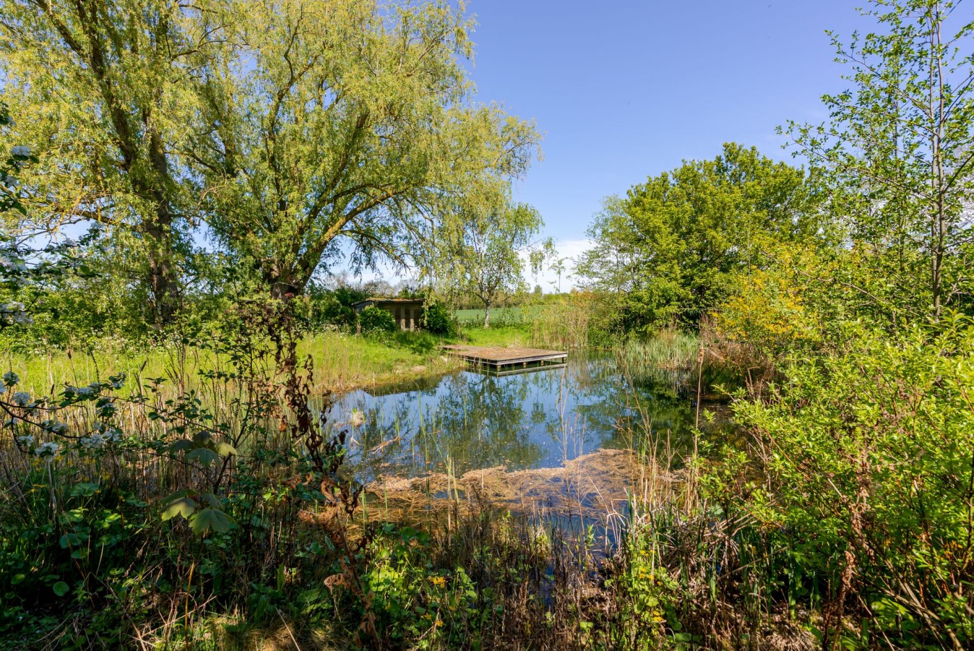 Photo 26