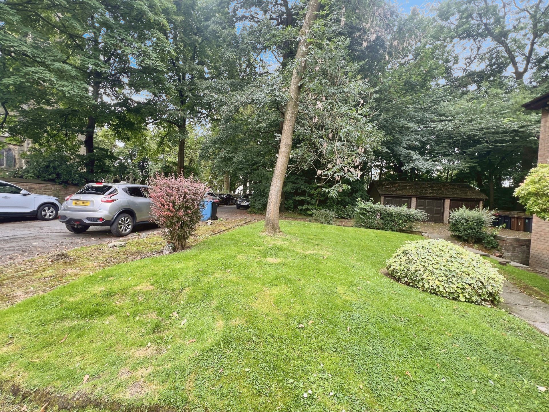 Photo 12