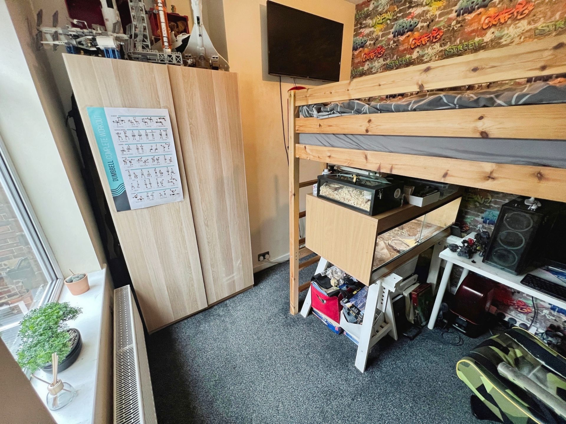 Photo 12