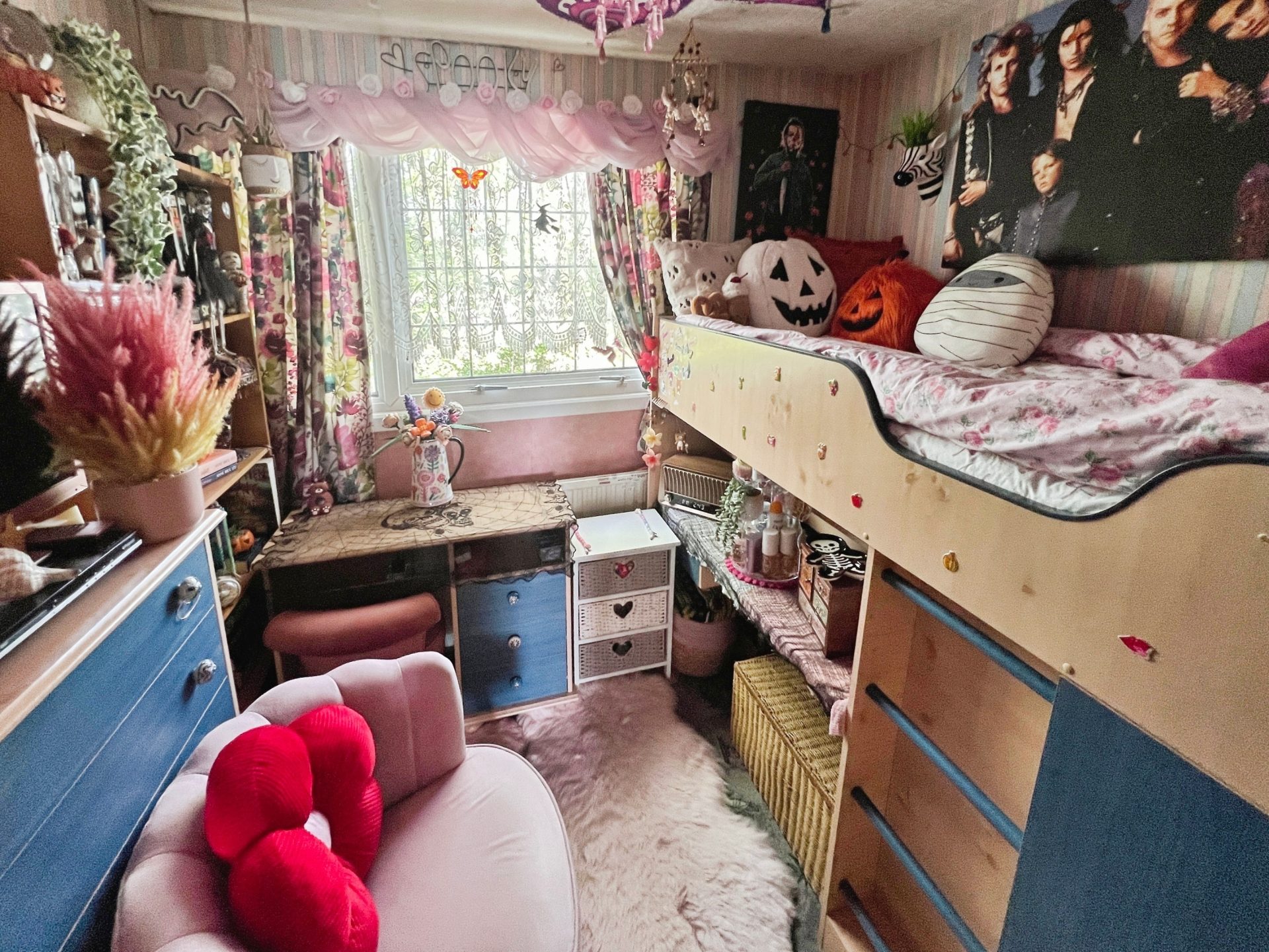 Photo 11