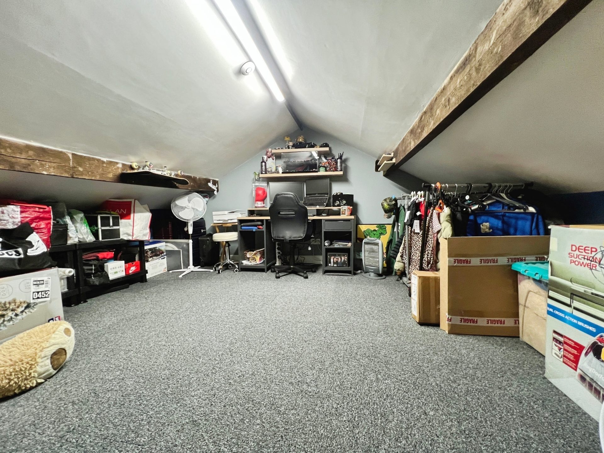 Photo 12
