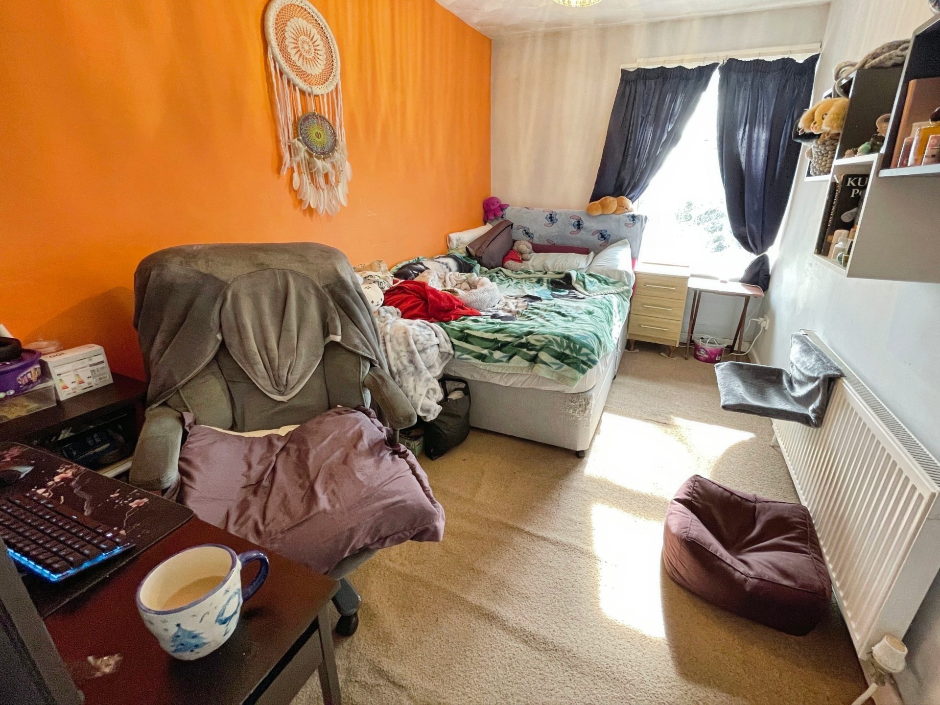 Photo 8