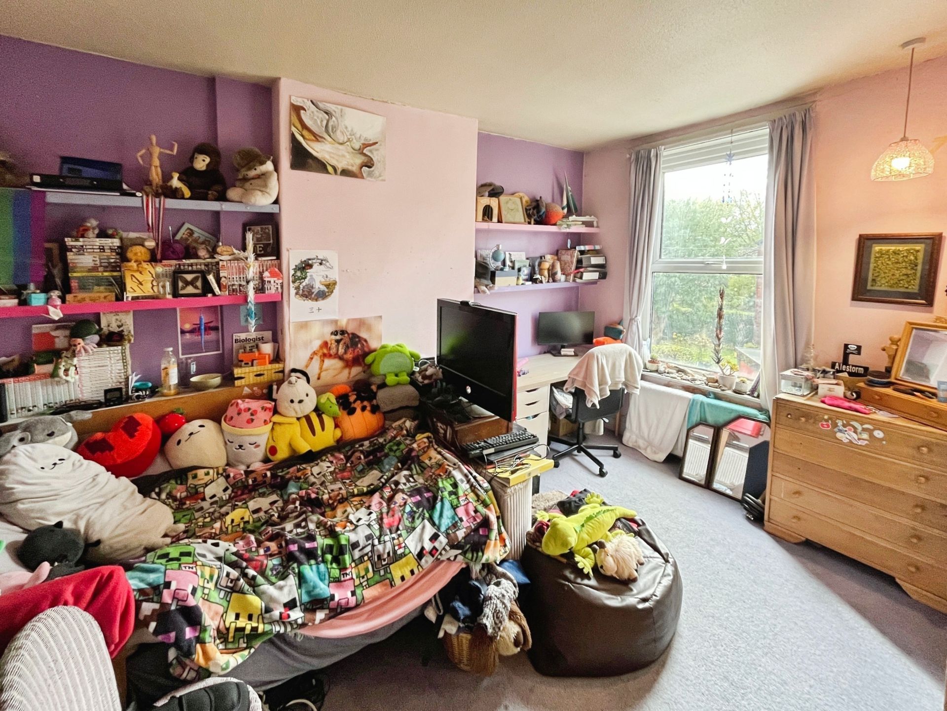 Photo 15