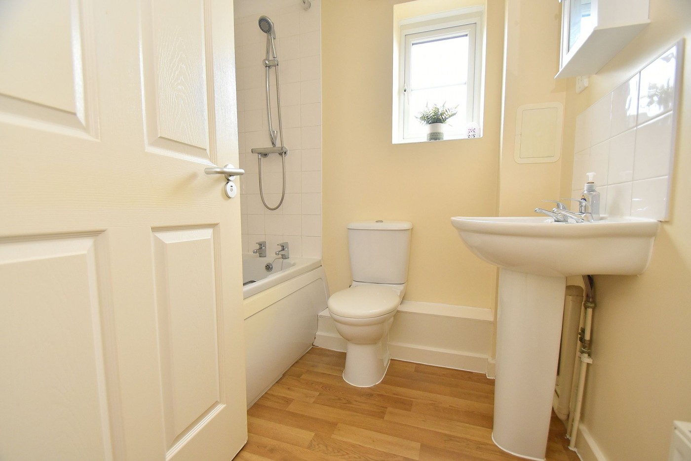 Photo 10