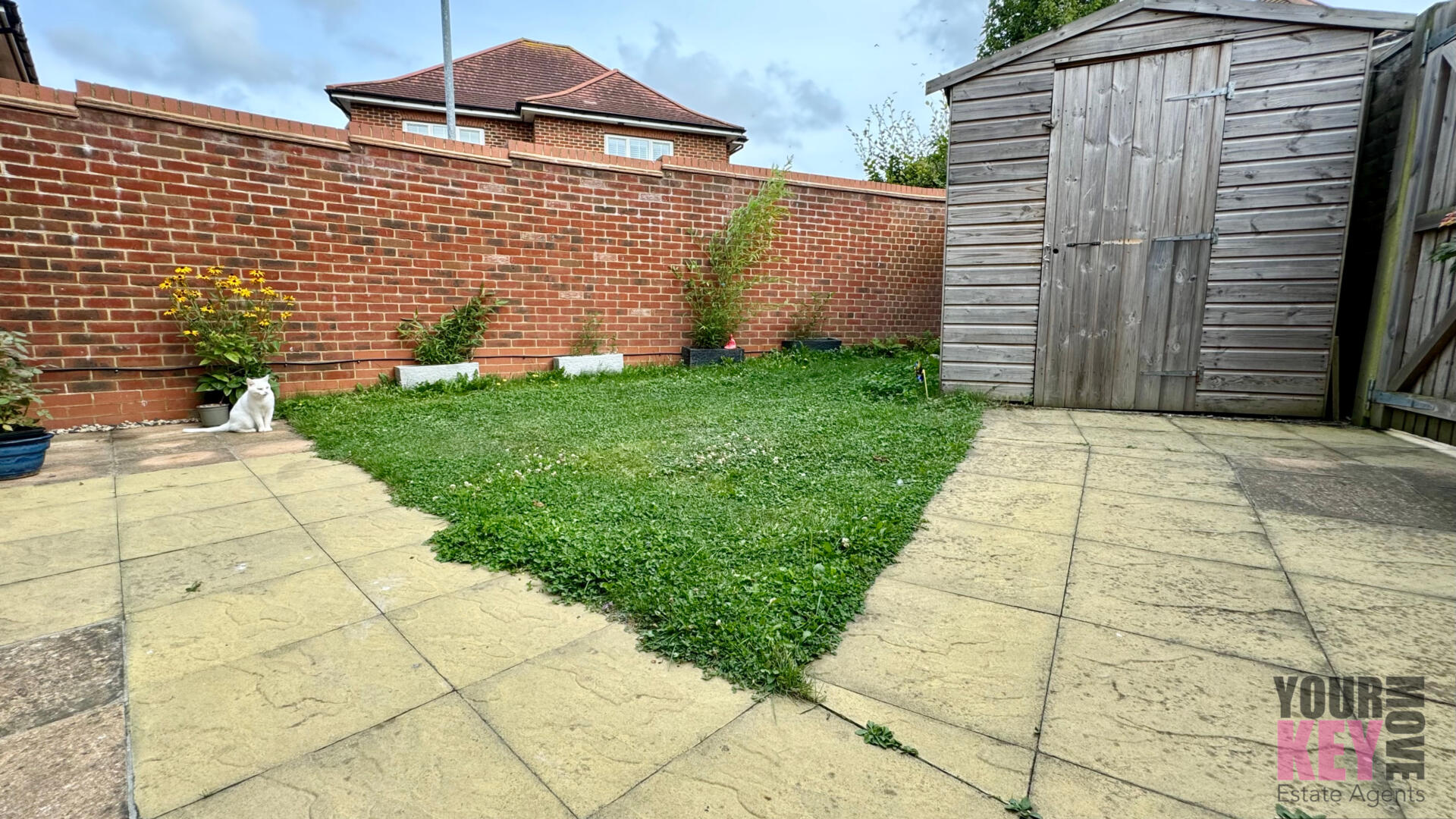Photo 19