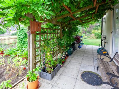 Photo 21
