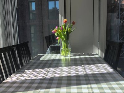 Apartment 206: dining detail