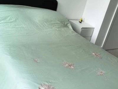 Apartment 206: second bedroom